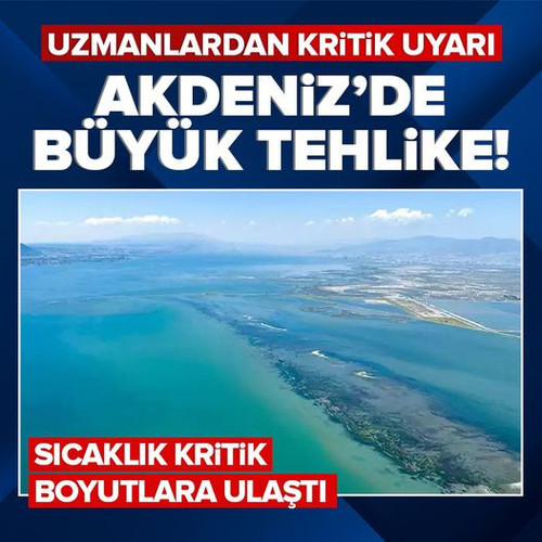 449770875 465783276201076 4777242385835854870 n.jpg?stp=dst jpg p526x296& nc cat=109&ccb=1 7& nc sid.jpg