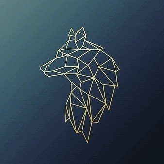 64979563 2270029213214353 10895043539763200 n.jpg