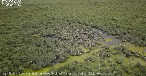 13740885189627985469?url=https%3A%2F%2Fmedia.oranews.tv%2Foranews.tv%2Fmedia3%2F 1200 630 zona 17199.jpg