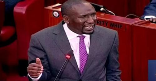 15539273605746581884?url=https%3A%2F%2Flh3.googleusercontent.com%2FfMx7lh9D15t fgupTlslFBuOXcbQb3beB.jpg