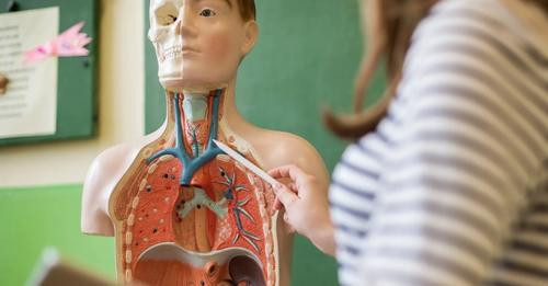 18011445787379011296?url=https%3A%2F%2Fmedia.oranews.tv%2Foranews.tv%2Fmedia3%2F 1200 630 b5d8bb9c8e.jpg