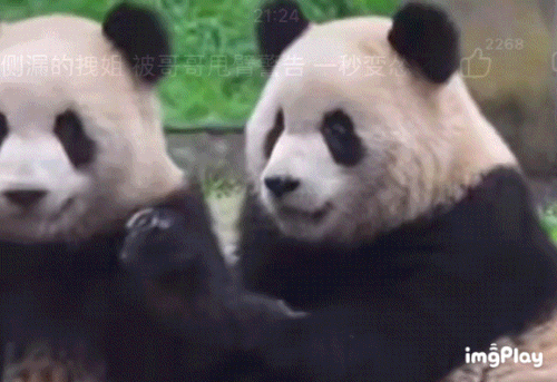 53F17E7B 2777 45BB 8B59 D68C6E9864AC.gif