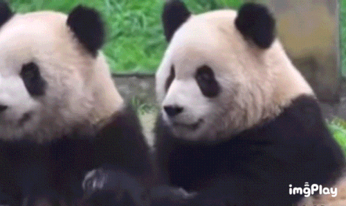 63A05EC5 1F0C 47CE AA0D 910A23DEE4A7.gif