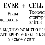 Без имени 1