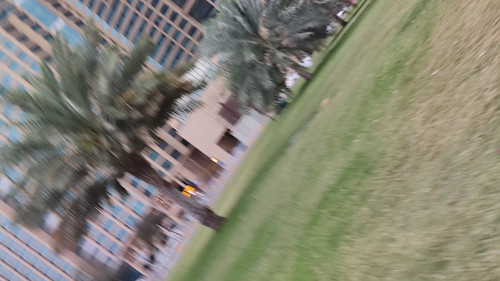 IMG 20240412 181053.jpg