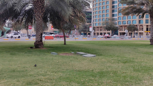 IMG 20240412 181049.jpg