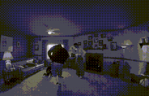 IMG 4723.gif