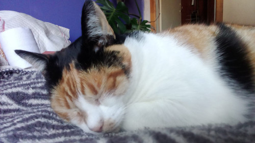 WhatsApp Image 2024 04 24 at 11.49.45 AM.jpg