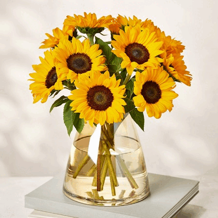 449618212 977591564158781 6768099852179801845 n.gif