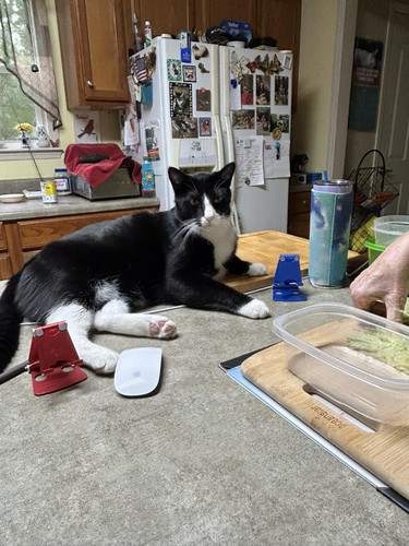 449688040 944969060713890 2348161237759253435 n.jpg