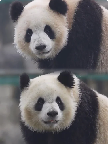 IMG 20240421 033529.png