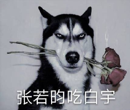 IMG 20240703 092647.jpg