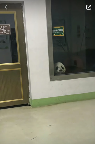 1094998C 7A7B 46D9 BF77 41F0D5C138F2.jpg