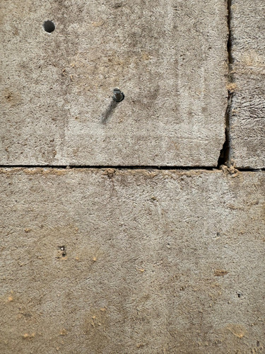 thumbnail 1000049502.jpg