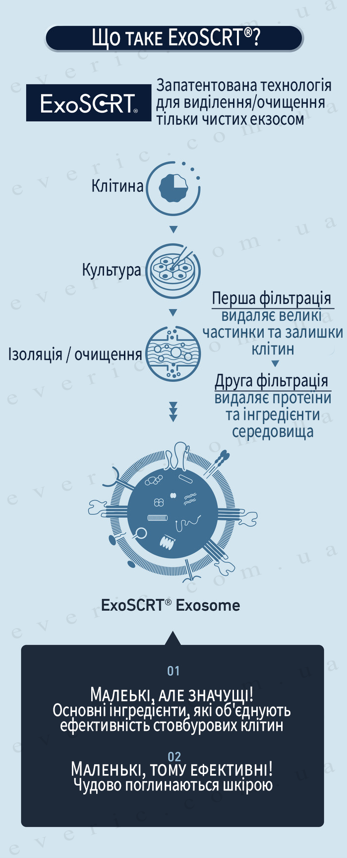 5 копия