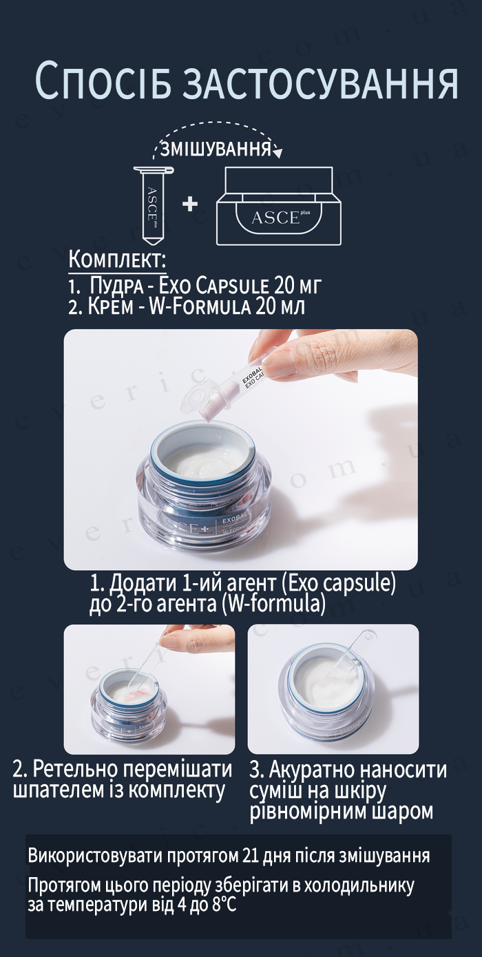 6 копия