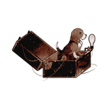 Untitled2590 20240925180618