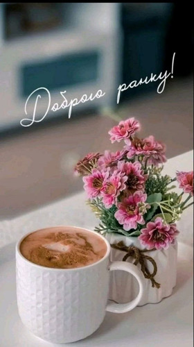 photo 2024 09 25 09 04 10.jpg