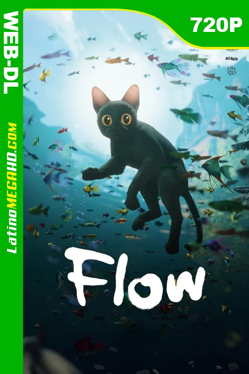 Flow (2024) WEB-DL 720P