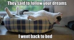 ezgif 7 d9bf596a8d04.jpg