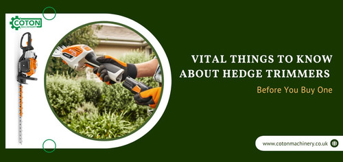 Vital Things to Know about Hedge Trimmers Before You Buy One.jpg