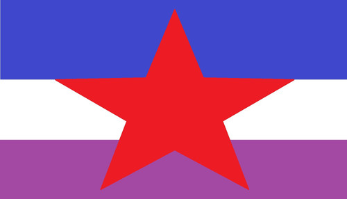 Partycracy Flag