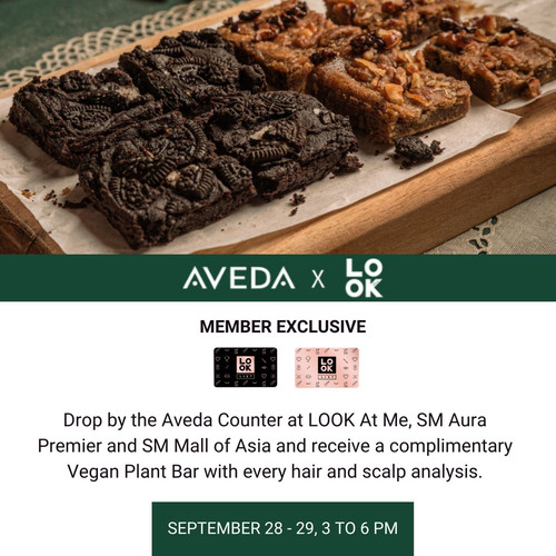 Aveda LOOK AURA and MOA KV 1 1.jpg