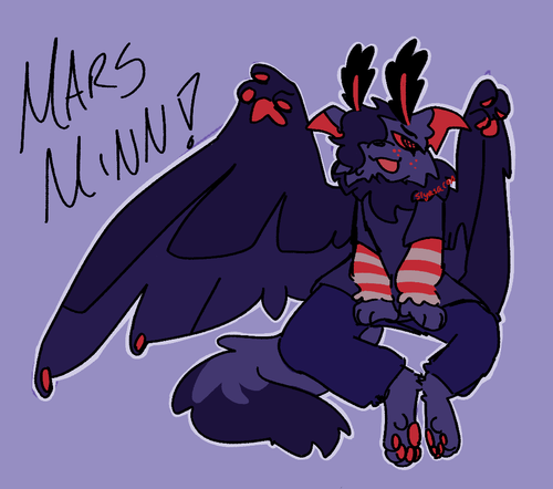 IMG 1348.png