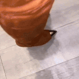 tumblr r9vko58YJX1v2nr81 ezgif.com optimize.gif