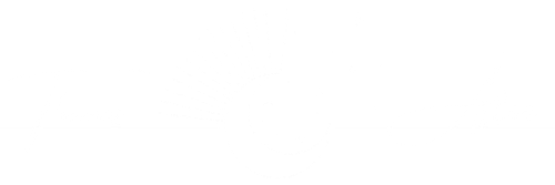Thomas Asteri 20240818 231339 0000.png