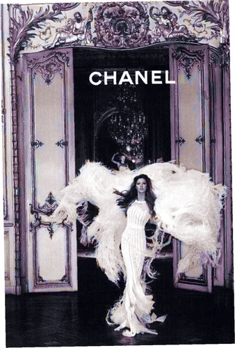 14425661296329927 farbig.jpg