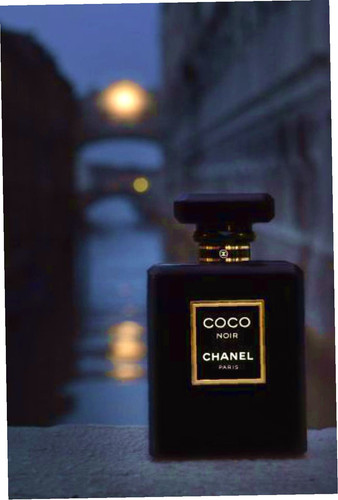 489485053268320168 farbig.jpg