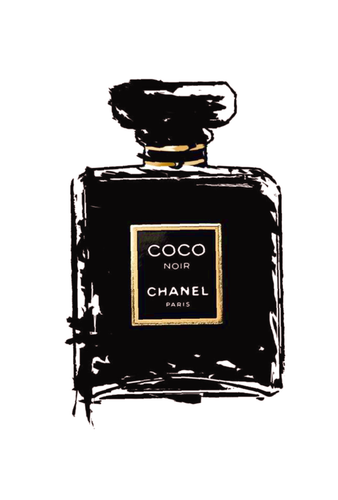 489485053268320169 farbig.png