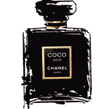 489485053268320169 farbig