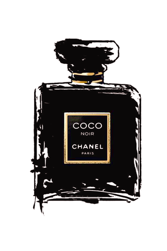 489485053268320169 farbig.png