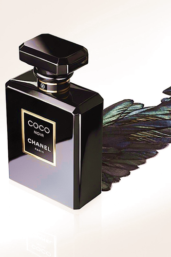 489485053268327715 farbig.png