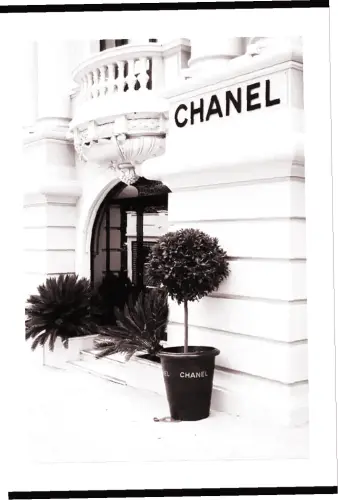 856809897897431982 farbig.webp