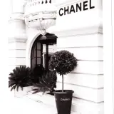 856809897897431982 farbig