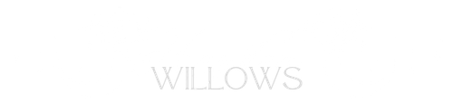 172404169661808025 (3).png