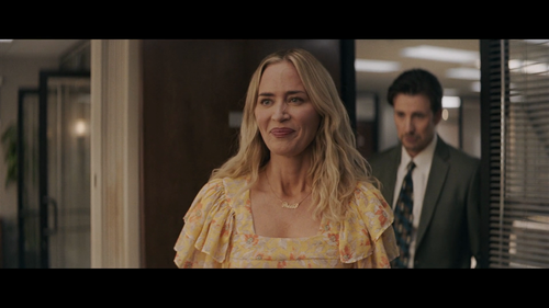 止痛骗.Pain.Hustlersn.2023.1080p.NF.WEB DL.x264.DDP5.1 RLWeb.mkv 20240819 120911.252.png