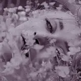 tumblr 3239ed2416d6edbe088b76ea3c8fb746 c57a6ba4 400.gif.webp