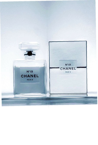 1047157350845575201 1 farbig.jpg