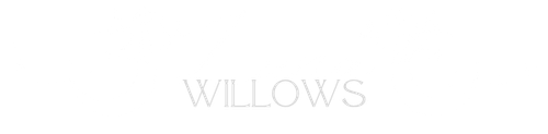 172404169661808025 (1).png