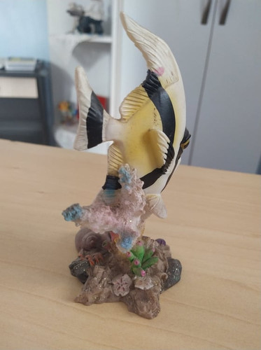 117963880 614016429301456 571587944011375571 n.jpg