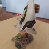 117608155 312614080078749 529753889807120247 n