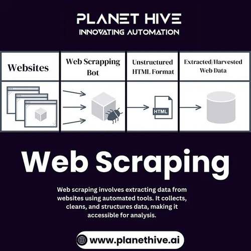 Expert Web Scraping.jpg