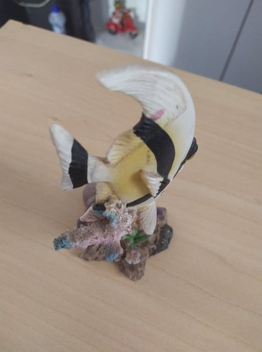 117698335 646333795997255 2474637766837059513 n.jpg