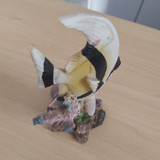 117698335 646333795997255 2474637766837059513 n