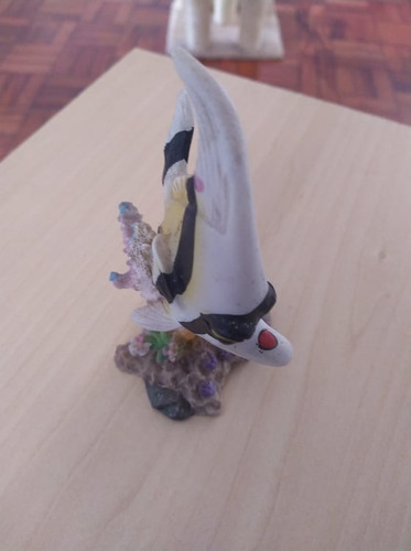 117907626 350806376081426 410488490765428541 n.jpg