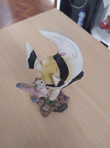 118005730 341401803559474 3097354576410282429 n.jpg